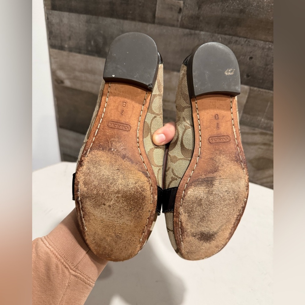Coach | Eloise Signature Loafers - Picture 5 of 10